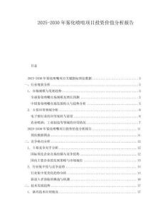 2025-2030年霧化噴咀項目投資價值分析報告