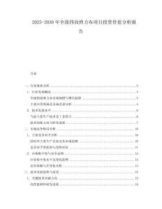 2025-2030年全滌四面彈力布項目投資價值分析報告