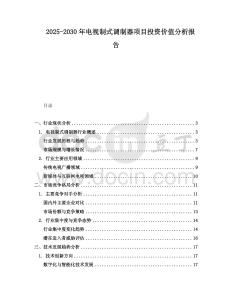 2025-2030年電視制式調(diào)制器項目投資價值分析報告