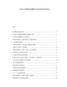 2025年酰胺吡酮行業深度研究報告