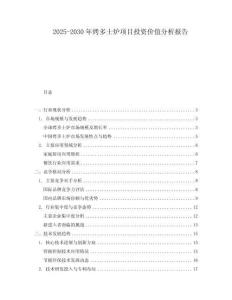 2025-2030年烤多士爐項(xiàng)目投資價(jià)值分析報(bào)告
