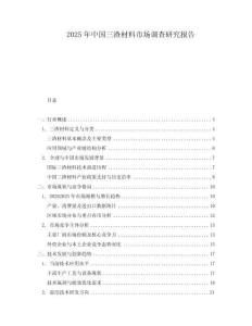 2025年中國(guó)三渣材料市場(chǎng)調(diào)查研究報(bào)告