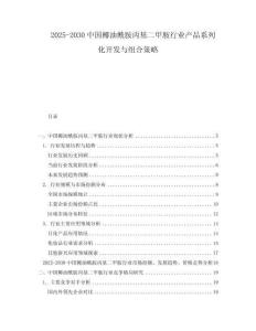 2025-2030中國椰油酰胺丙基二甲胺行業產品系列化開發與組合策略
