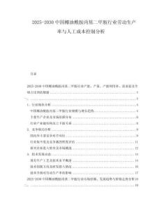 2025-2030中國椰油酰胺丙基二甲胺行業勞動生產率與人工成本控制分析