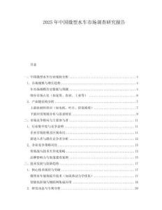 2025年中國(guó)微型水車(chē)市場(chǎng)調(diào)查研究報(bào)告