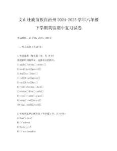 文山壯族苗族自治州2024-2025學年六年級下學期英語期中復習試卷
