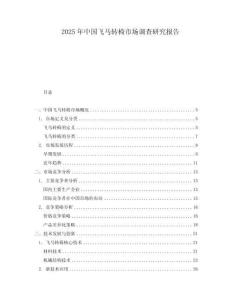 2025年中國飛馬轉椅市場調查研究報告