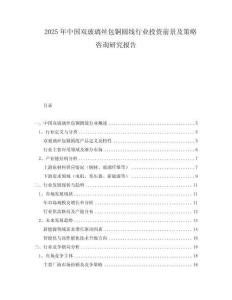 2025年中國雙玻璃絲包銅圓線行業投資前景及策略咨詢研究報告