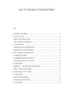 2025年中國電樞轉(zhuǎn)子市場調(diào)查研究報告