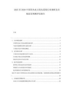2025至2030中國管內(nèi)水力發(fā)電系統(tǒng)行業(yè)調(diào)研及市場前景預(yù)測評估報告