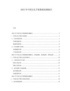 2025年中國方孔手輪數(shù)據(jù)監(jiān)測報(bào)告