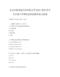 文山壯族苗族自治州某小學(xué)2024-2025學(xué)年五年級(jí)下學(xué)期信息科技期末復(fù)習(xí)試卷