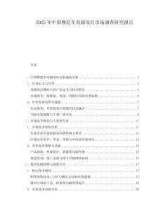 2025年中國摩托車雙圓雙燈市場調(diào)查研究報(bào)告