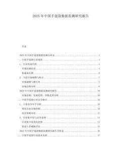 2025年中國手毯袋數據監測研究報告