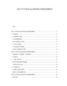 2025年中國電動定扭矩扳手數據監測報告