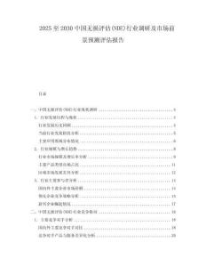 2025至2030中國無損評估(NDE)行業(yè)調(diào)研及市場前景預(yù)測評估報(bào)告