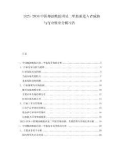 2025-2030中國椰油酰胺丙基二甲胺新進入者威脅與行業(yè)壁壘分析報告