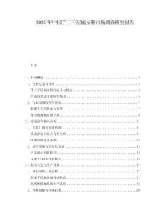 2025年中國手工千層底女靴市場調查研究報告