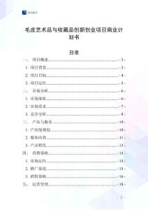毛皮藝術品與收藏品創新創業項目商業計劃書