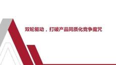 （20頁(yè)P(yáng)PT）雙輪驅(qū)動(dòng)產(chǎn)品持續(xù)商業(yè)成功