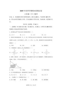 2024~2025學(xué)年廣西河池市宜州區(qū)八年級(jí)下學(xué)期期末檢測(cè)數(shù)學(xué)試卷