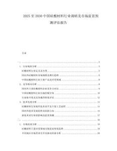 2025至2030中國硅酸材料行業調研及市場前景預測評估報告