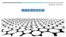 網絡犯罪防控機制最佳分析