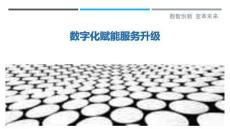 數(shù)字化賦能服務(wù)升級最佳分析