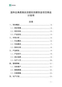 溫和去角質美白潔面乳創新創業項目商業計劃書