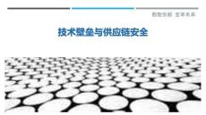 技術(shù)壁壘與供應(yīng)鏈安全最佳分析