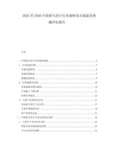 2025至2030中國曲馬多片行業(yè)調研及市場前景預測評估報告