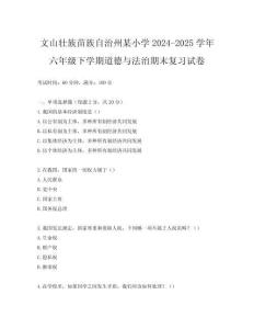 文山壯族苗族自治州某小學(xué)2024-2025學(xué)年六年級下學(xué)期道德與法治期末復(fù)習(xí)試卷