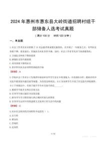 2024年惠州市惠東縣大嶺街道招聘村組干部儲備人選考試真題