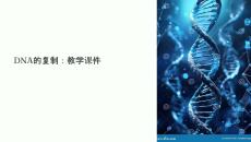 dna的復(fù)制教學(xué)課件