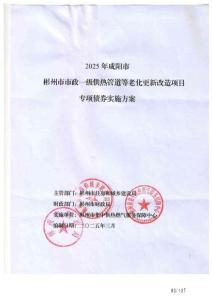 2025年彬州市市政一級(jí)供熱管道等老化更新改造項(xiàng)目實(shí)施方案