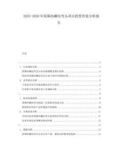 2025-2030年黃銅內螺紋彎頭項目投資價值分析報告