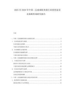 2025至2030年中國二層玻璃轉角架行業(yè)投資前景及策略咨詢研究報告