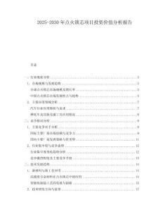 2025-2030年點火鎖芯項目投資價值分析報告