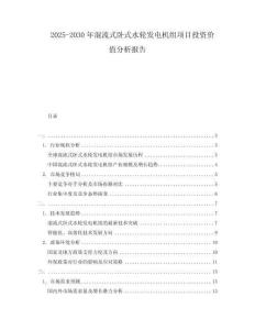 2025-2030年混流式臥式水輪發電機組項目投資價值分析報告