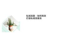 （28頁PPT）高效打造私域流量池