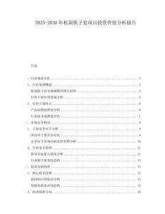 2025-2030年機制筷子套項目投資價值分析報告