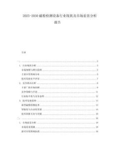 2025-2030磁粉檢測設備行業現狀及市場前景分析報告