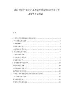 2025-2030中國的汽車改裝件制造業市場供需分析及投資評估規劃