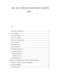 2025-2030中國便利店行業數字化轉型與區域擴張戰略