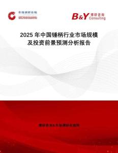 2025年中國錘柄行業市場規模及投資前景預測分析報告