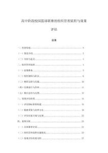 高中階段校園籃球聯(lián)賽的組織管理流程與效果評估