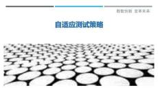 自適應測試策略最佳分析