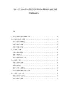 2025至2030年中國防滑塑膠墊市場現(xiàn)狀分析及前景預(yù)測報(bào)告