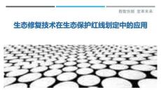 生態(tài)修復(fù)技術(shù)在生態(tài)保護(hù)紅線劃定中的應(yīng)用最佳分析