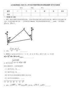 山東省濰城區(qū)2025年上半年初中數(shù)學期末測試精品題庫【奪分金卷】